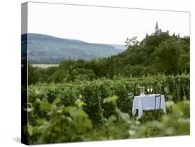 Table with Champagne Glasses in Vineyard in Champagne-Joerg Lehmann-Stretched Canvas