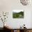Table with Champagne Glasses in Vineyard in Champagne-Joerg Lehmann-Photographic Print displayed on a wall