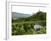 Table with Champagne Glasses in Vineyard in Champagne-Joerg Lehmann-Framed Photographic Print