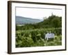 Table with Champagne Glasses in Vineyard in Champagne-Joerg Lehmann-Framed Photographic Print