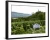 Table with Champagne Glasses in Vineyard in Champagne-Joerg Lehmann-Framed Photographic Print