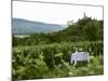 Table with Champagne Glasses in Vineyard in Champagne-Joerg Lehmann-Mounted Photographic Print