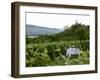Table with Champagne Glasses in Vineyard in Champagne-Joerg Lehmann-Framed Photographic Print