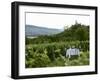 Table with Champagne Glasses in Vineyard in Champagne-Joerg Lehmann-Framed Photographic Print