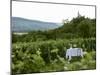 Table with Champagne Glasses in Vineyard in Champagne-Joerg Lehmann-Mounted Photographic Print