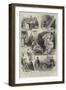 Tableaux Vivants from Sir Walter Scott's Novels, at Cromwell House, South Kensington-null-Framed Giclee Print