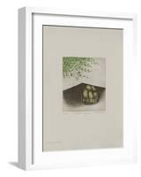 Tables : La Table Du Jardin-Annapia Antonini-Framed Limited Edition