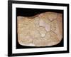 Tablet with Treaty of Kadesh, Signed Between Egyptians and Hittites-null-Framed Giclee Print