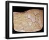 Tablet with Treaty of Kadesh, Signed Between Egyptians and Hittites-null-Framed Giclee Print