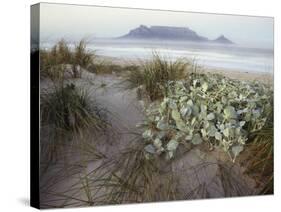 Tabletop Mountain, Table Bay, Capetown, South Africa-Merrill Images-Stretched Canvas