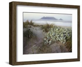 Tabletop Mountain, Table Bay, Capetown, South Africa-Merrill Images-Framed Photographic Print