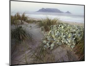 Tabletop Mountain, Table Bay, Capetown, South Africa-Merrill Images-Mounted Photographic Print