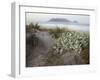 Tabletop Mountain, Table Bay, Capetown, South Africa-Merrill Images-Framed Photographic Print