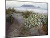 Tabletop Mountain, Table Bay, Capetown, South Africa-Merrill Images-Mounted Photographic Print