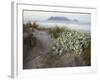 Tabletop Mountain, Table Bay, Capetown, South Africa-Merrill Images-Framed Photographic Print