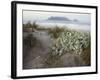 Tabletop Mountain, Table Bay, Capetown, South Africa-Merrill Images-Framed Photographic Print