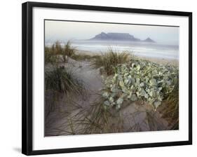 Tabletop Mountain, Table Bay, Capetown, South Africa-Merrill Images-Framed Photographic Print