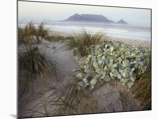 Tabletop Mountain, Table Bay, Capetown, South Africa-Merrill Images-Mounted Photographic Print