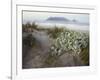 Tabletop Mountain, Table Bay, Capetown, South Africa-Merrill Images-Framed Photographic Print