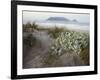 Tabletop Mountain, Table Bay, Capetown, South Africa-Merrill Images-Framed Photographic Print