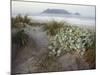 Tabletop Mountain, Table Bay, Capetown, South Africa-Merrill Images-Mounted Photographic Print