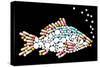 Tablets Pills Fish-Peter Hermes Furian-Stretched Canvas