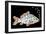 Tablets Pills Fish-Peter Hermes Furian-Framed Art Print