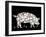 Tablets Pills Pig-Peter Hermes Furian-Framed Art Print