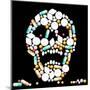 Tablets Skull-Peter Hermes Furian-Mounted Art Print