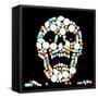 Tablets Skull-Peter Hermes Furian-Framed Stretched Canvas