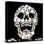 Tablets Skull-Peter Hermes Furian-Stretched Canvas