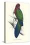 Tabuan Parakeet - Prosapeia Tabuensis-Edward Lear-Stretched Canvas