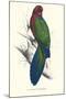 Tabuan Parakeet - Prosapeia Tabuensis-Edward Lear-Mounted Art Print