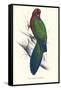 Tabuan Parakeet - Prosapeia Tabuensis-Edward Lear-Framed Stretched Canvas