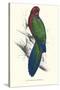 Tabuan Parakeet - Prosapeia Tabuensis-Edward Lear-Stretched Canvas