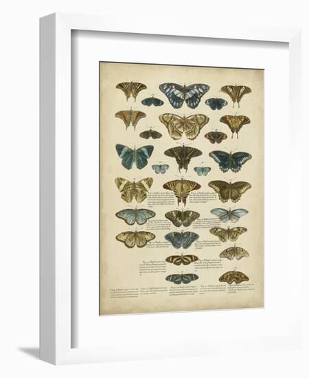 Tabula De Papilio-Sloan-Framed Art Print