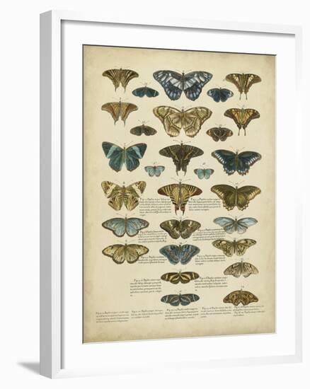 Tabula De Papilio-Sloan-Framed Art Print