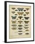 Tabula De Papilio-Sloan-Framed Art Print