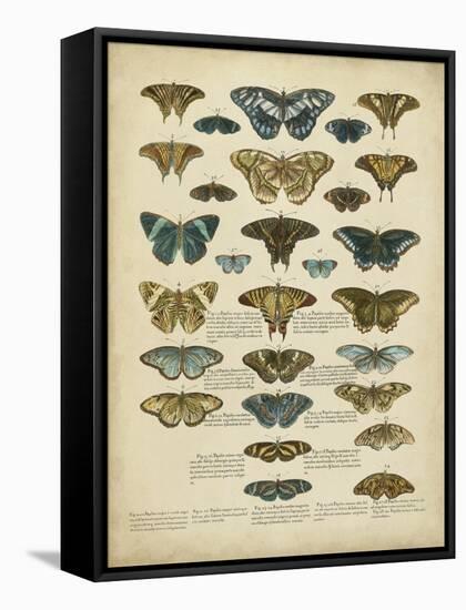Tabula De Papilio-Sloan-Framed Stretched Canvas