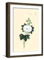 Tachi Aoi-May-Megata Morikaga-Framed Art Print