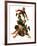 "Tackle,"November 13, 1926-Frederic Stanley-Framed Giclee Print