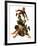 "Tackle,"November 13, 1926-Frederic Stanley-Framed Giclee Print