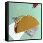 Taco Tuesday-Ann Tygett Jones Studio-Framed Stretched Canvas