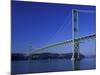 Tacoma Narrows Bridge, Washington, USA-Jamie & Judy Wild-Mounted Photographic Print