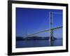 Tacoma Narrows Bridge, Washington, USA-Jamie & Judy Wild-Framed Photographic Print