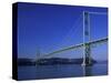 Tacoma Narrows Bridge, Washington, USA-Jamie & Judy Wild-Stretched Canvas