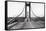 Tacoma, Washington - November 7, 1940 - Tacoma Narrows Bridge - Man on Bridge-Lantern Press-Framed Stretched Canvas