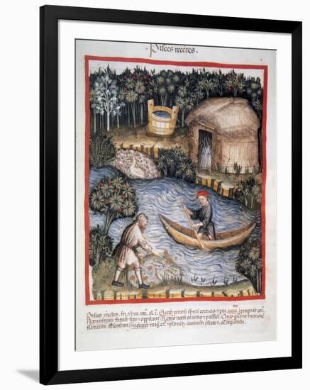 Tacuinum Sanitatis. 14th Century. Medieval Handbook of Health. Fishermen in a River-null-Framed Giclee Print