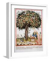 Tacuinum Sanitatis. Late Xiv Century. Picking Bitter Pomegranate-null-Framed Giclee Print