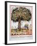 Tacuinum Sanitatis. Late Xiv Century. Picking Bitter Pomegranate-null-Framed Giclee Print